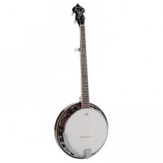 5 snaren banjo Richwood