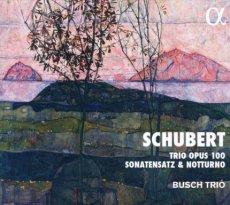 Schubert Trio opus 100 Busch Trio