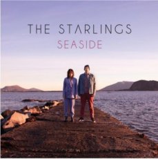 Starlings: seaside